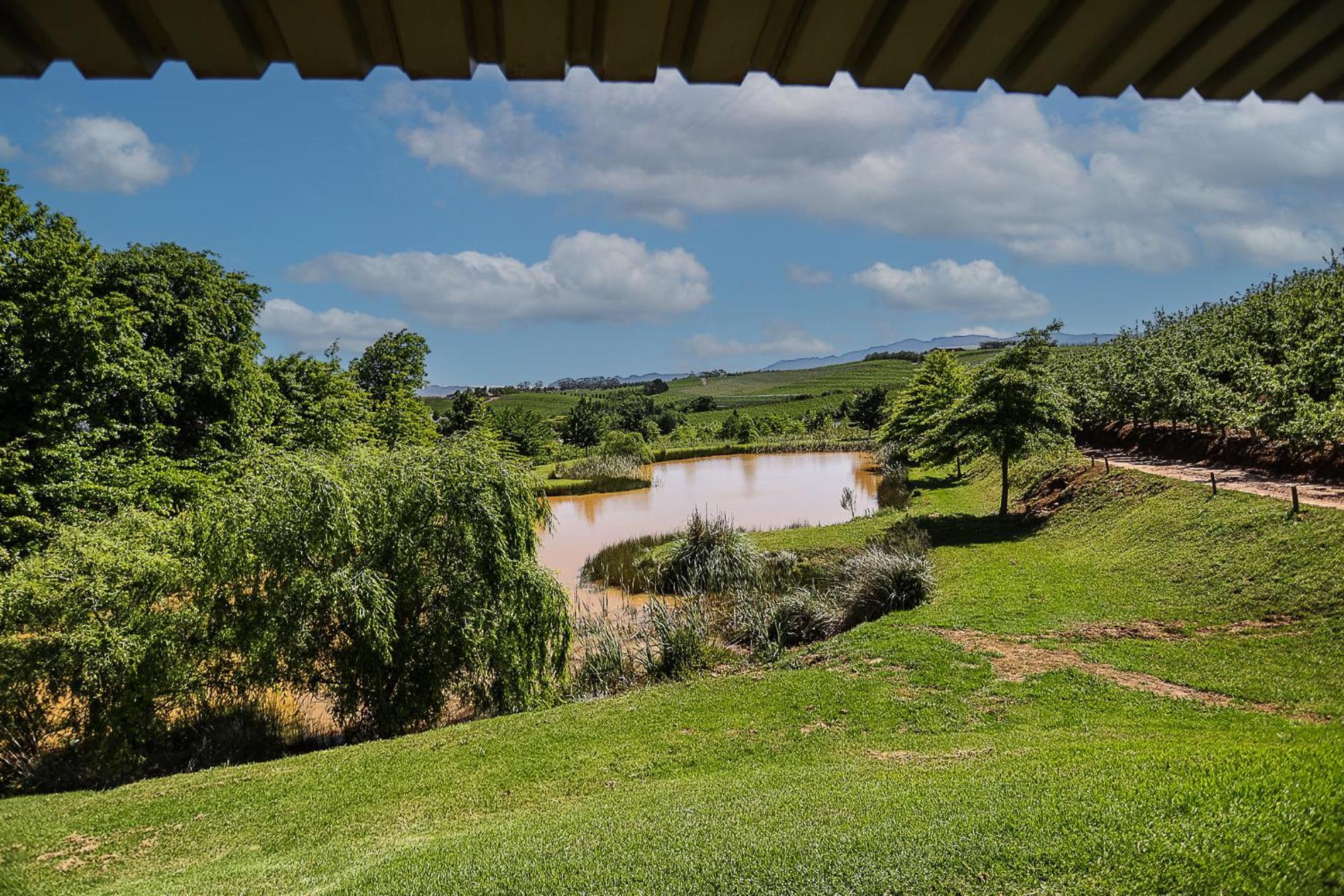 Villa Galileo Farm à Elgin  Chambre photo
