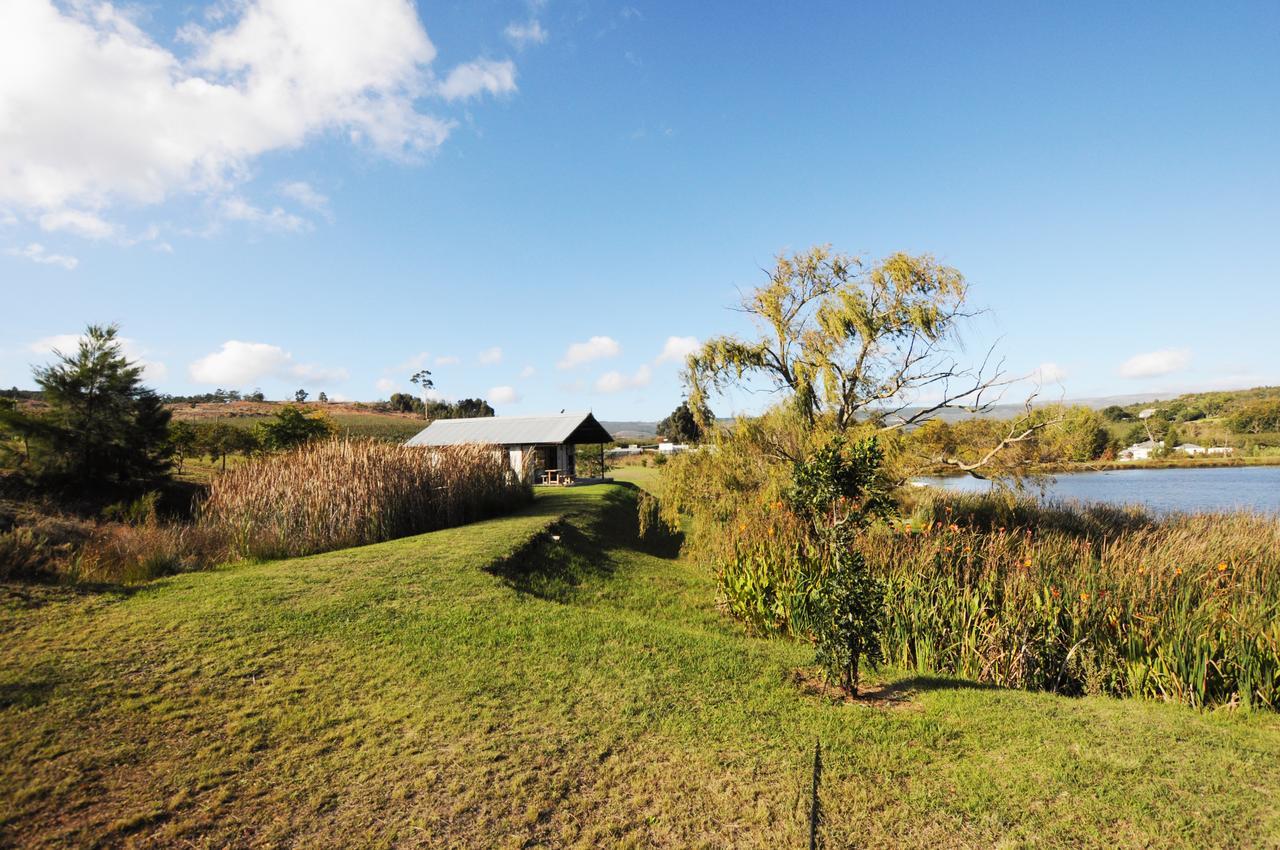 Villa Galileo Farm à Elgin  Extérieur photo
